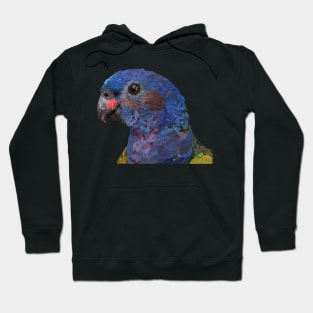 Blue-headed Parrot Hoodie